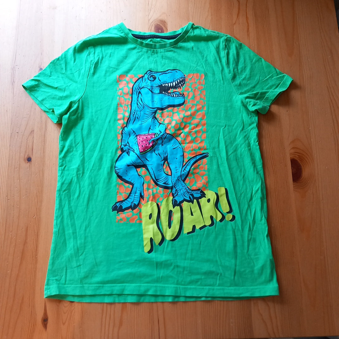 Green Dinosaur & Watermelon T-Shirt - Boys 13-14 years - F&F