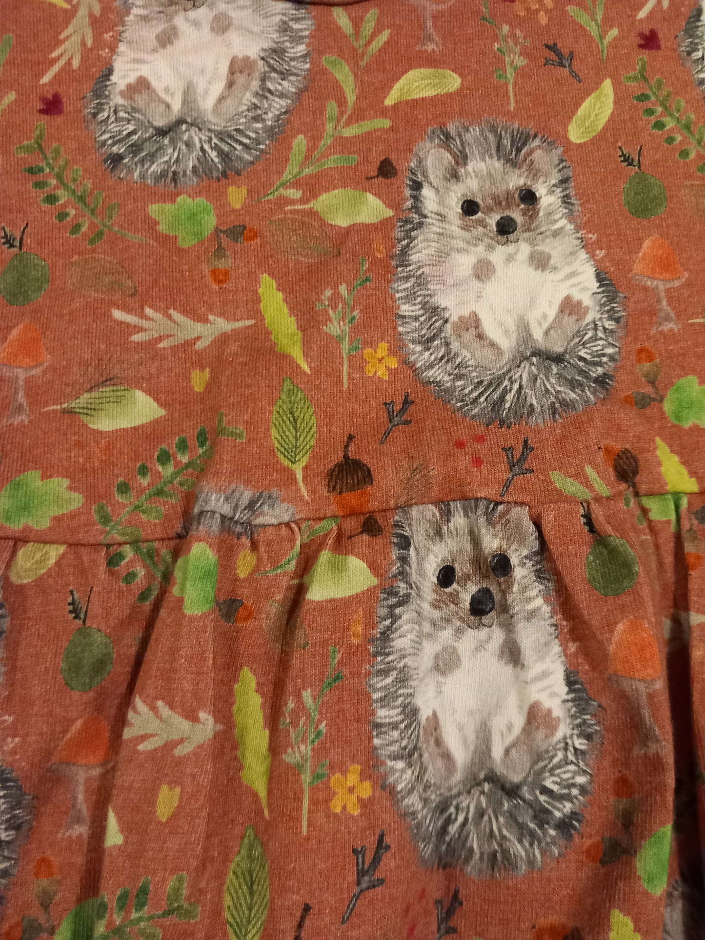 Handmade Long Sleeve Hedgehogs Dress - Girls 4-5 years - Button And Loop Handmade