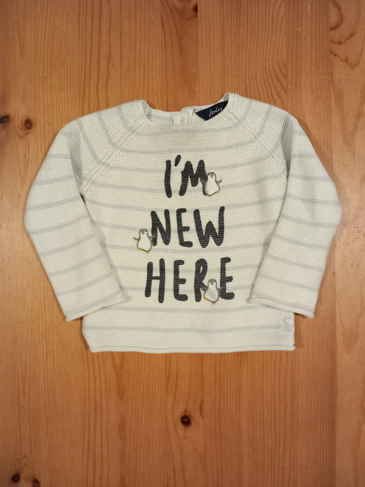 'I'm New Here' Knitted Style Jumper - Unisex 6-9 months - Joules