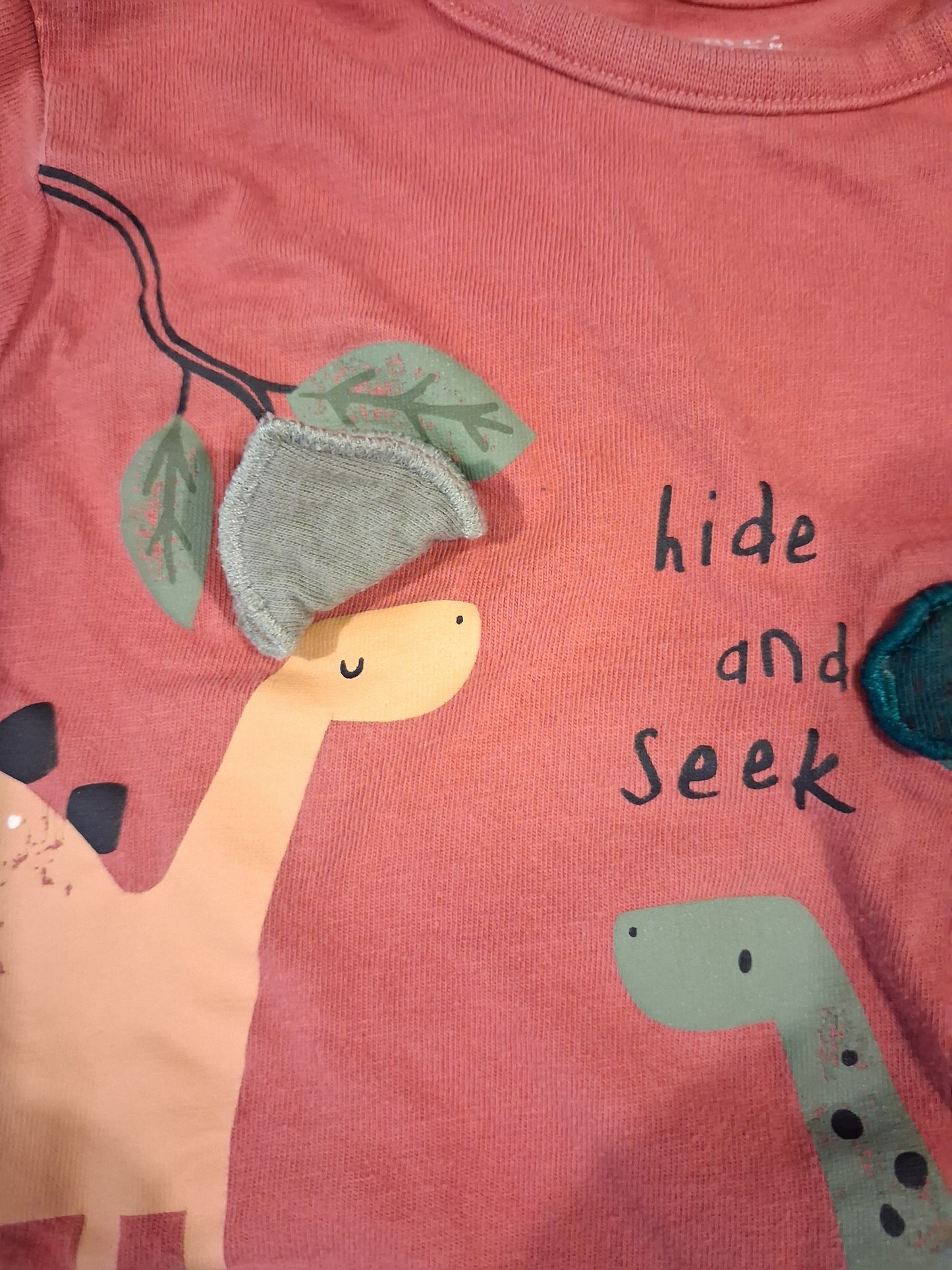 Distressed Look Dinosaurs 'Hide And Seek' Long Sleeve Top With Flaps - Boys 18-24 months - F&F