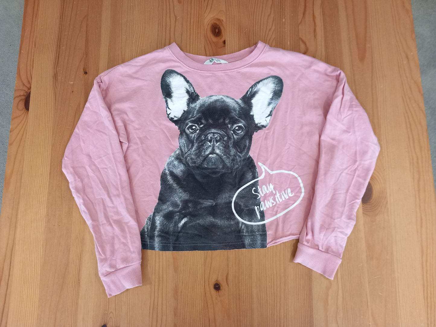 Cropped Oversized Lightweight 'Stay Pawsitive' Dog Sweatshirt - Girls 14 years+ - H&M
