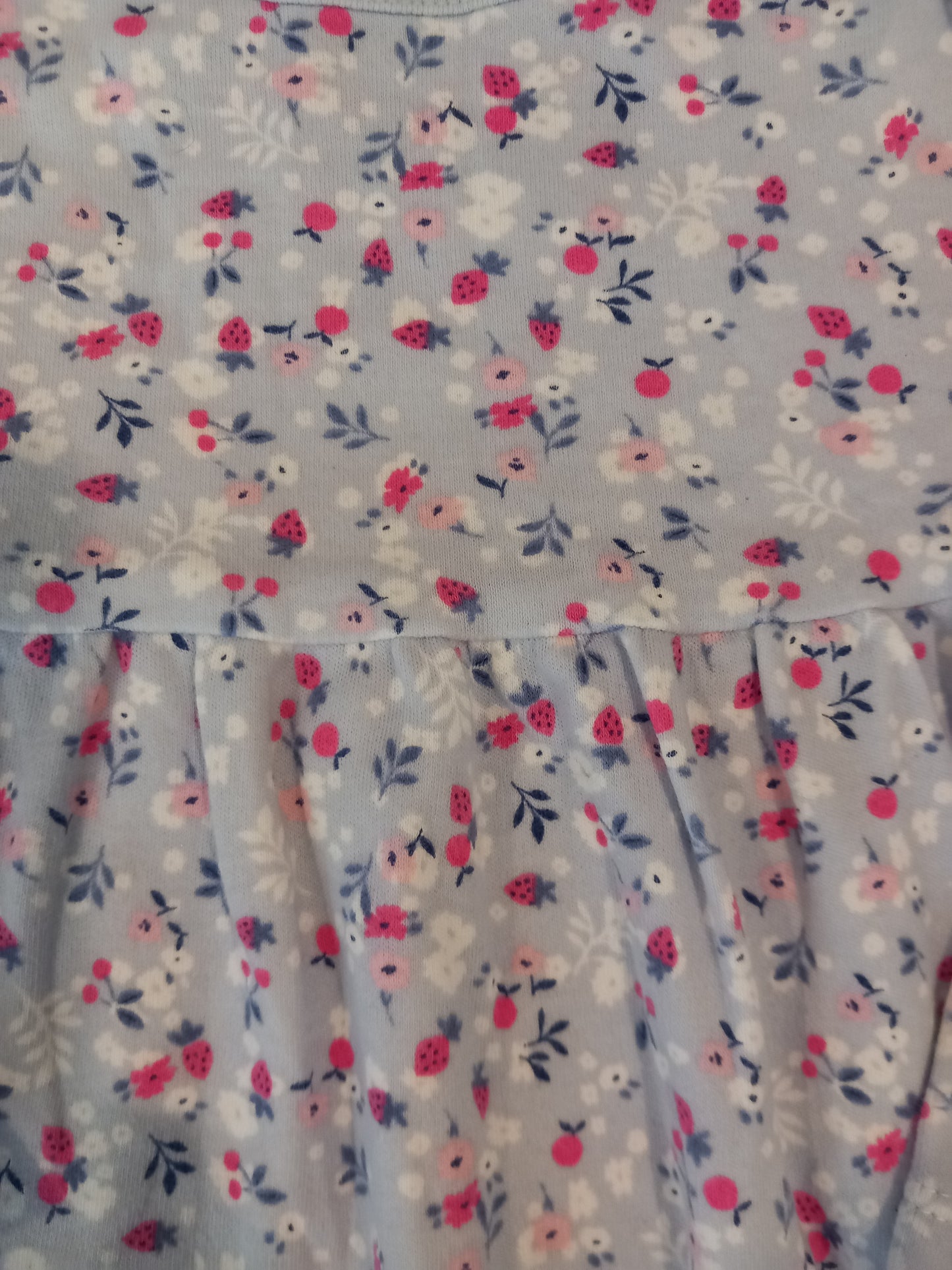 Long Sleeve Flowers & Strawberries Dress - Girls 12-18 months - George