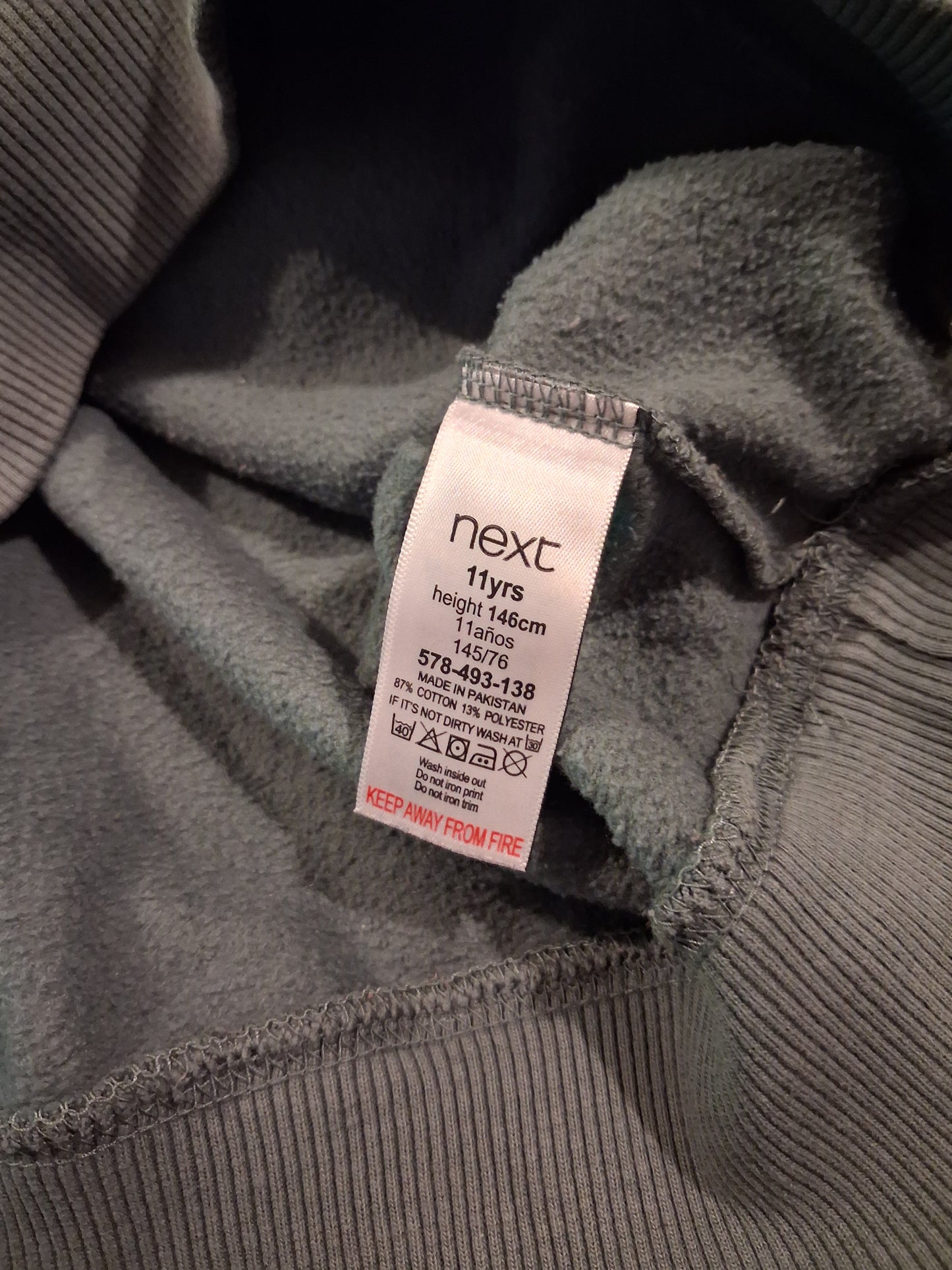 Dark Green Dinosaurs Hoodie With Thumb Holes - Boys 11 years - Next