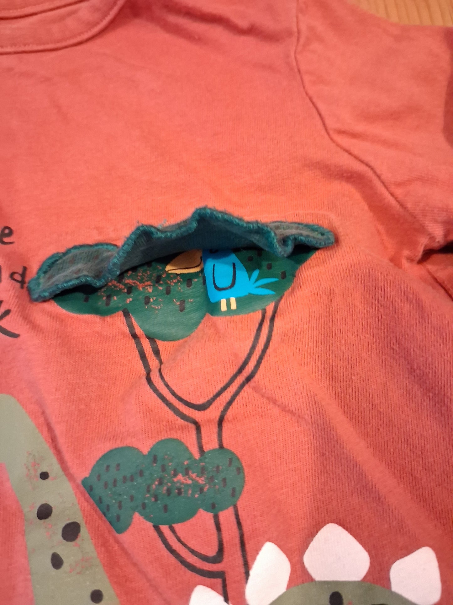 Distressed Look Dinosaurs 'Hide And Seek' Long Sleeve Top With Flaps - Boys 18-24 months - F&F