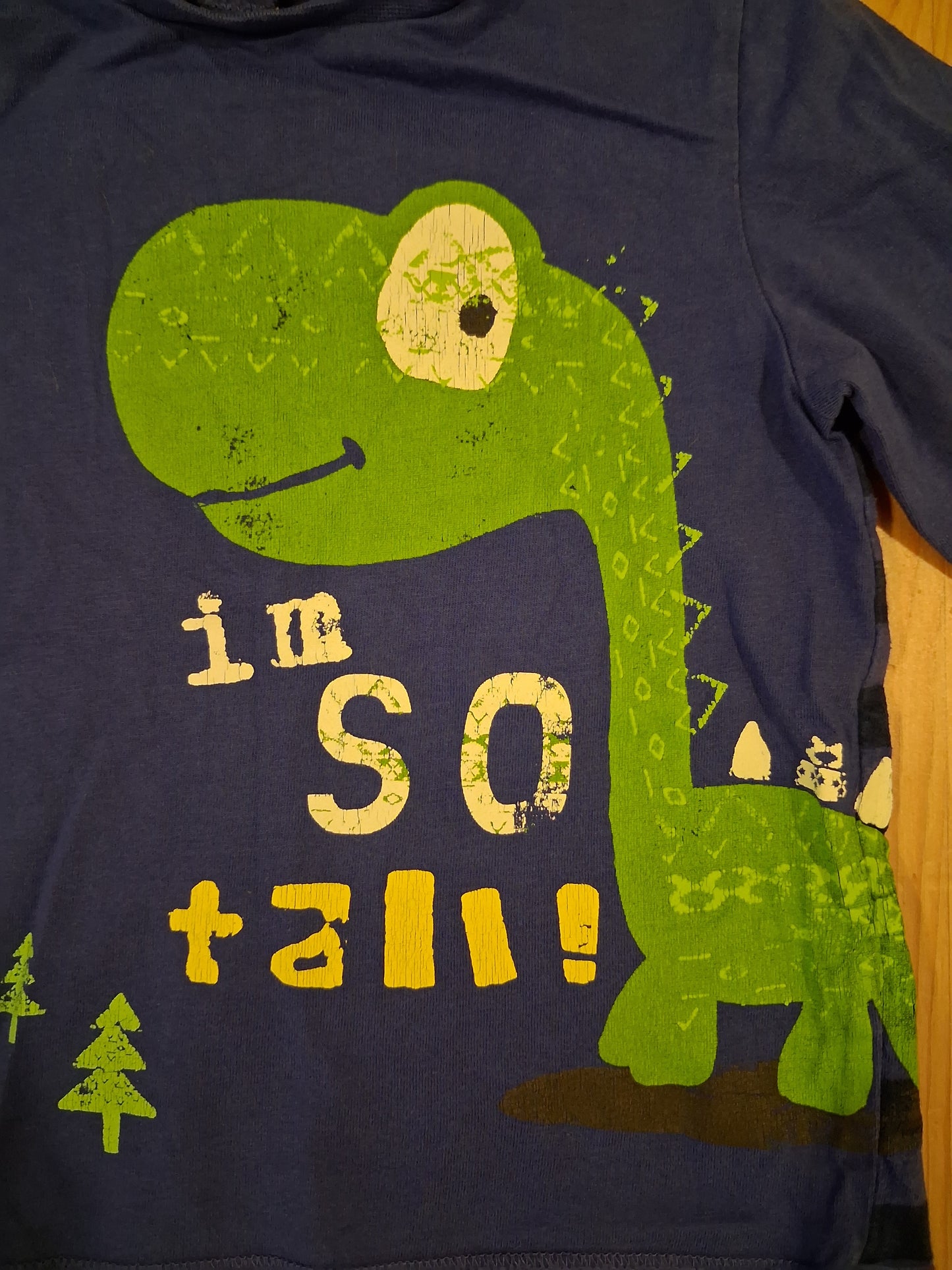 Dinosaur 'I'm So Tall' Long Sleeve Top - Boys 2-3 years - Mini Club
