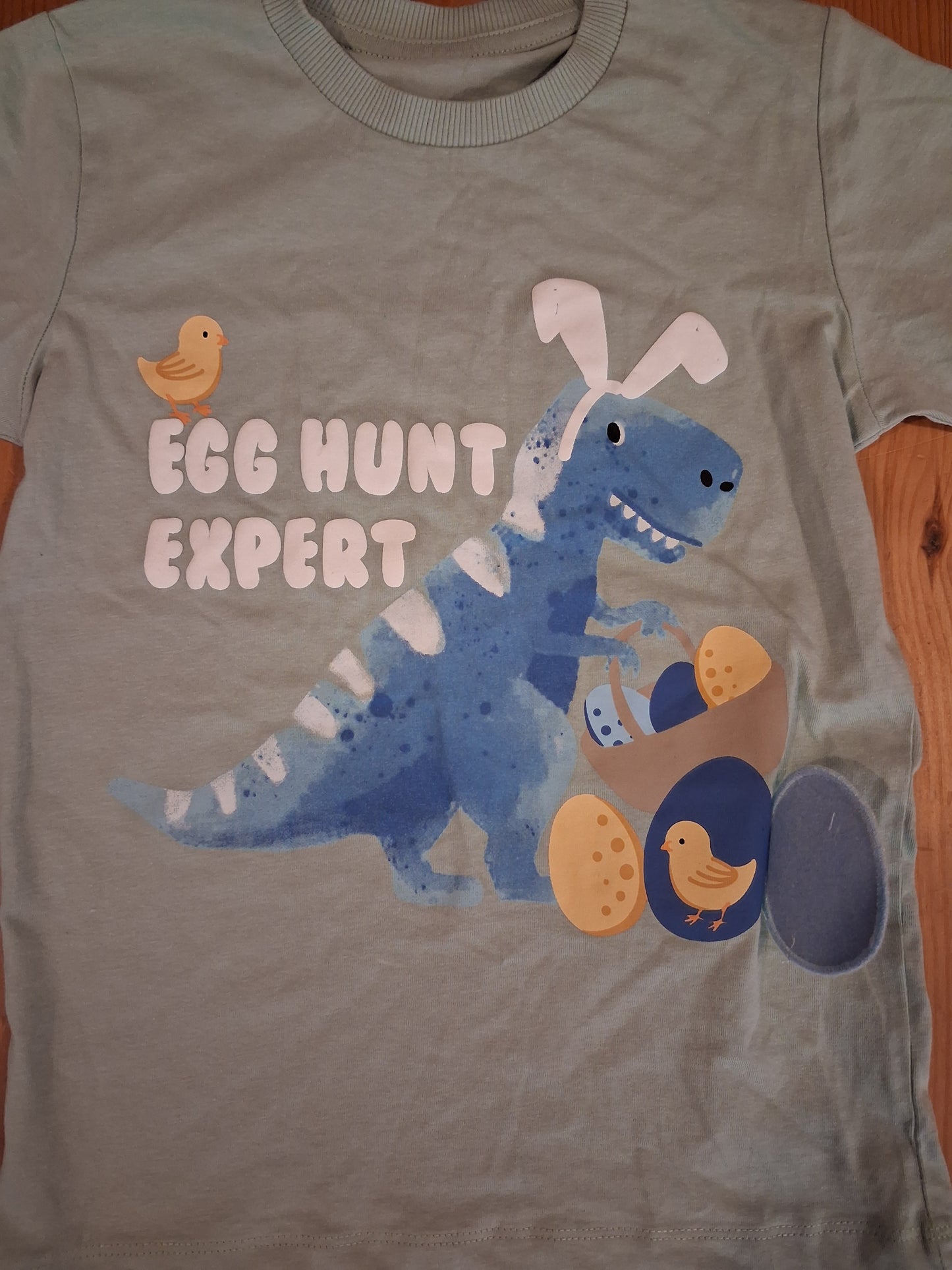 'Egg Hunt Expert' Easter Dinosaur T-Shirt With Flap - Boys 6-7 years - Matalan