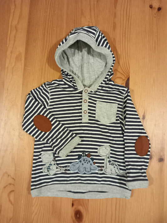 Striped Dinosaurs Lightweight Hoodie - Boys 9-12 months - TU