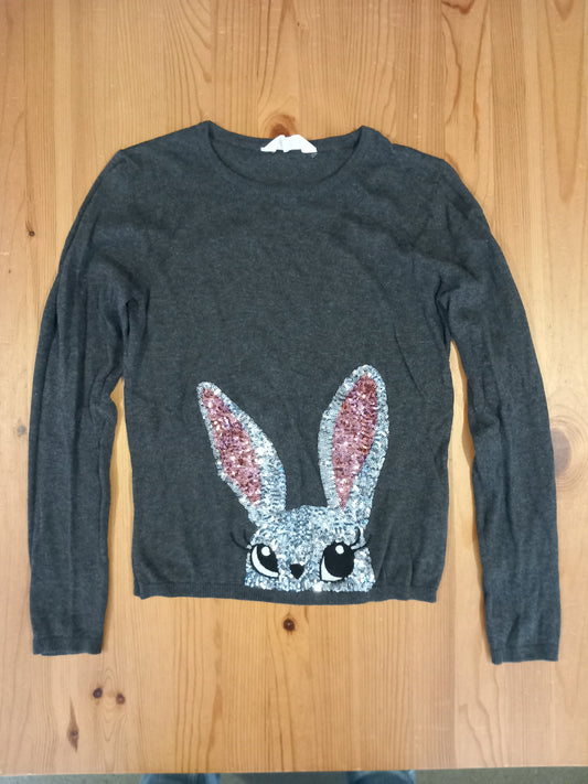 Grey Sequined Rabbit Jumper - Girls 12-14 years - H&M