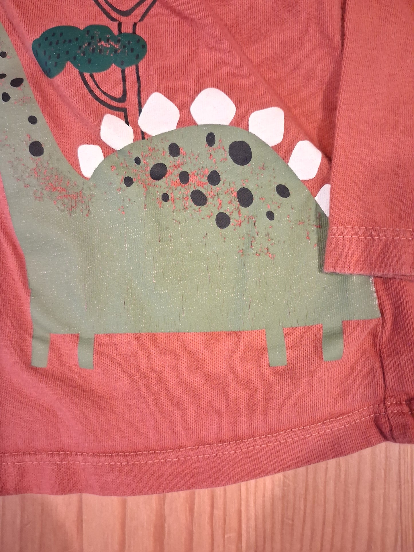 Distressed Look Dinosaurs 'Hide And Seek' Long Sleeve Top With Flaps - Boys 18-24 months - F&F