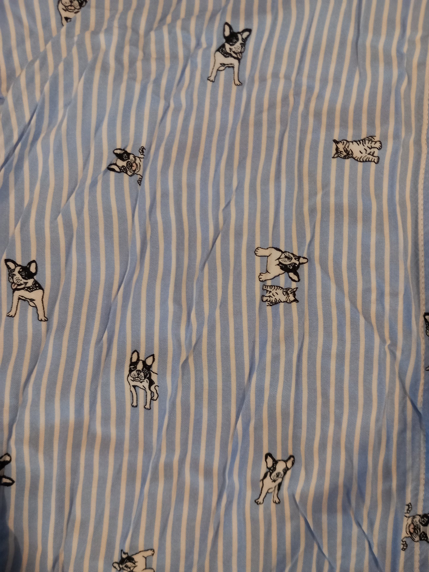 Striped Dogs & Cats Shirt - Girls 14 years+ - H&M