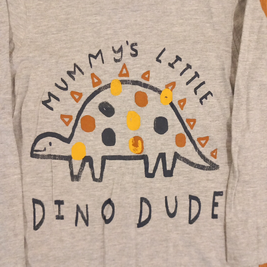 Grey 'Mummy's Little Dino Dude' Long Sleeve Top - Boys 6-7 years - George