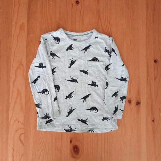 Grey Dinosaurs Long Sleeve Top - Boys 2-4 years - H&M