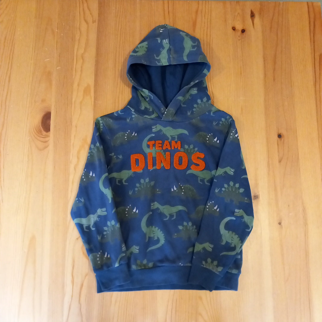 'Team Dinos' Lightweight Hoodie - Boys 6-8 years - H&M