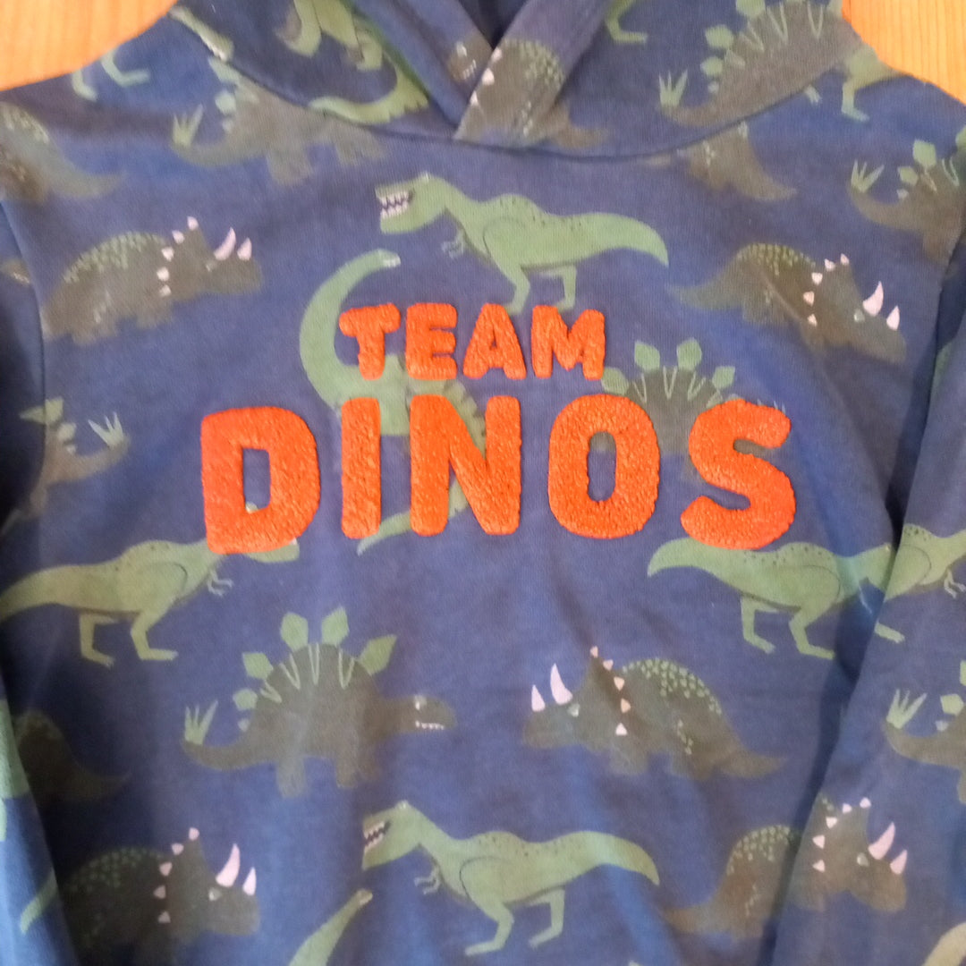 'Team Dinos' Lightweight Hoodie - Boys 6-8 years - H&M