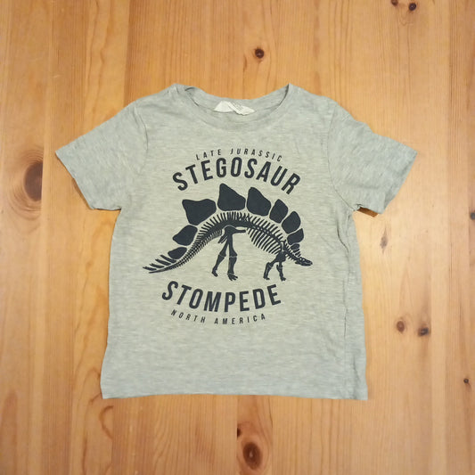 Grey Dinosaur T-Shirt - Boys 4-6 years - H&M