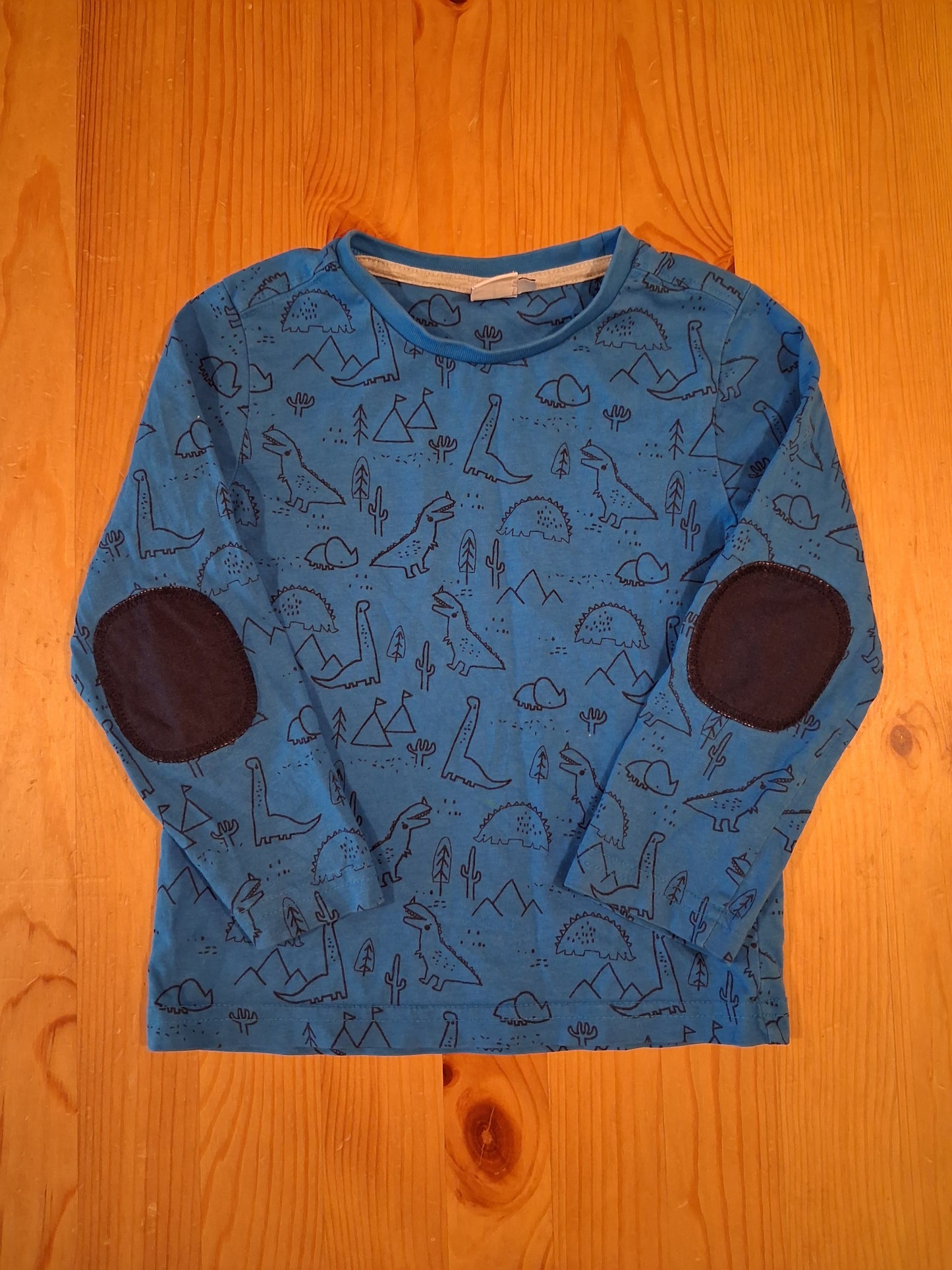 Dinosaurs Long Sleeve Top - Boys 2-3 years - Mini Club