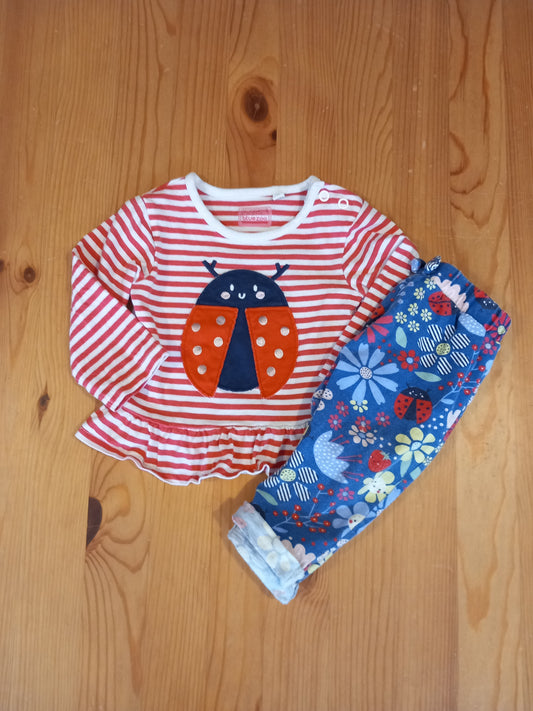 Ladybird & Flowers Long Sleeve Top & Leggings Set - Girls 3-6 months - Bluezoo