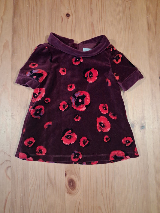 Poppies Soft Feel Tunic Style Top - Girls 12-18 months - Tahari Baby