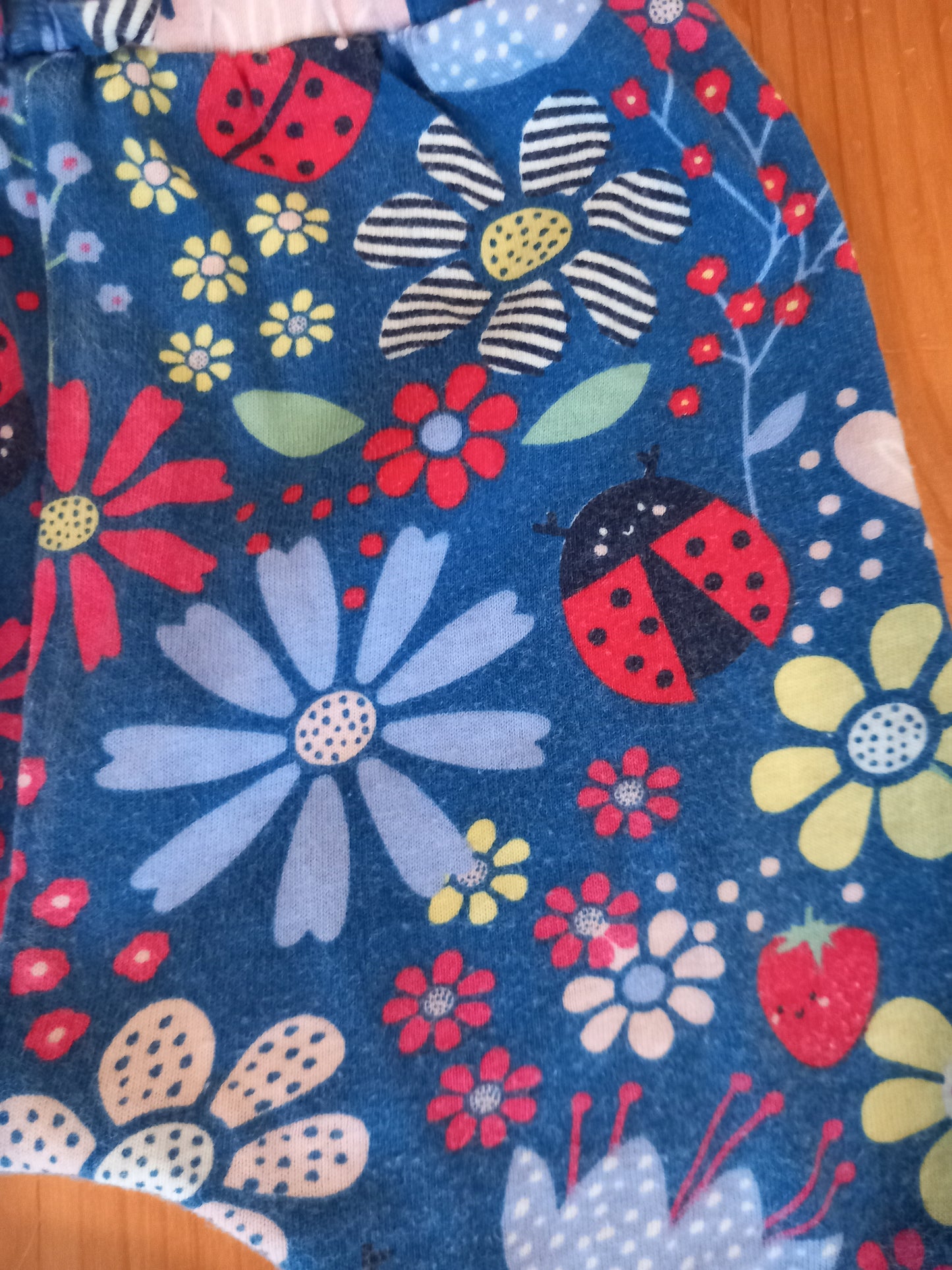 Ladybird & Flowers Long Sleeve Top & Leggings Set - Girls 3-6 months - Bluezoo