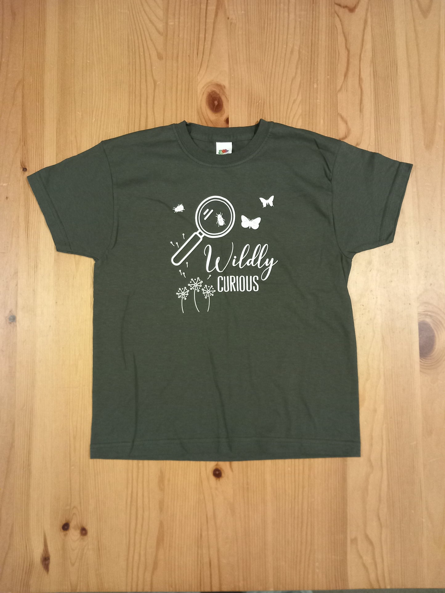 Grey 'Wildly Curious' T-Shirt - Boys 5-6 years - Brand unknown