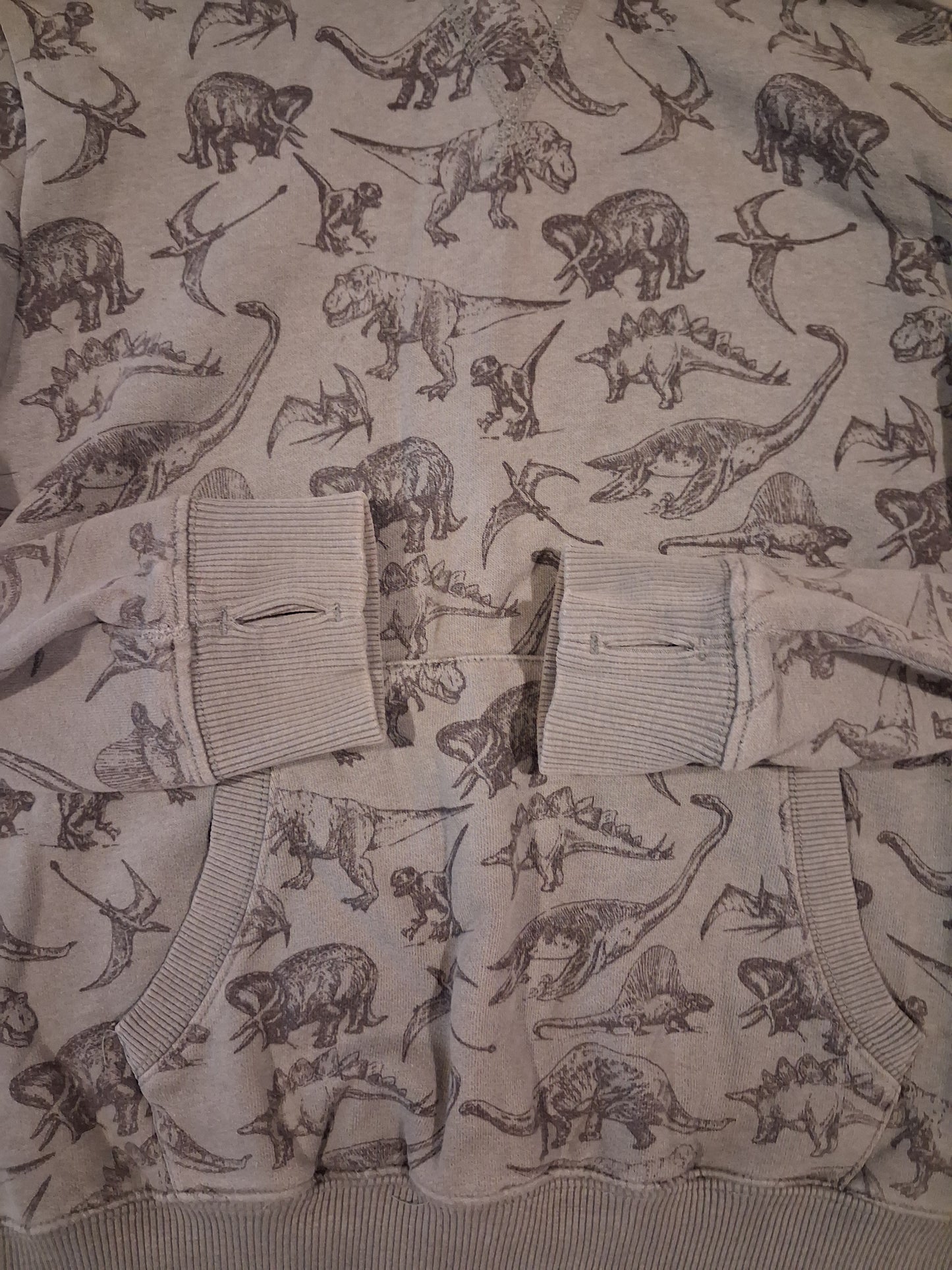 Dark Green Dinosaurs Hoodie With Thumb Holes - Boys 11 years - Next