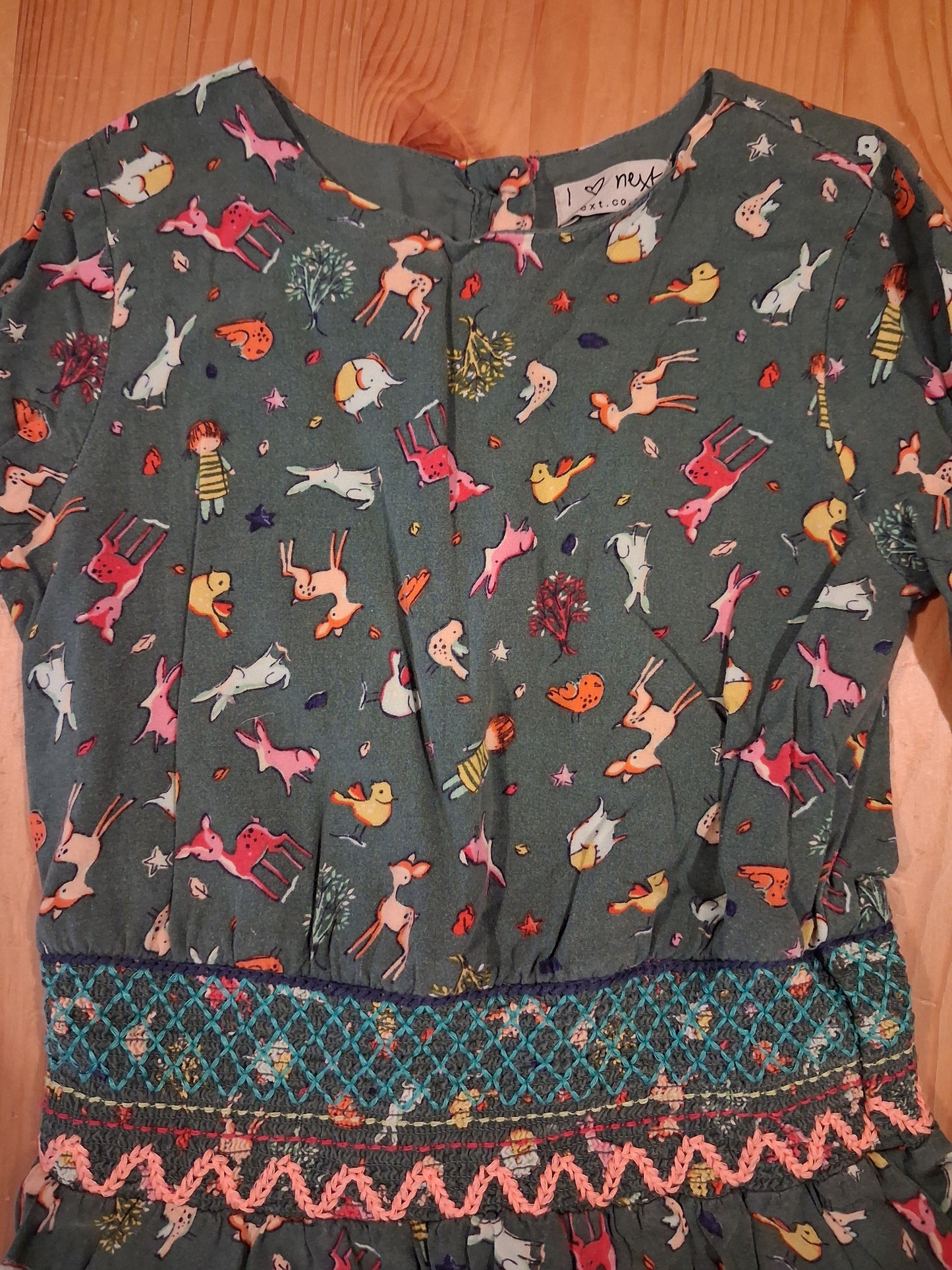 Lined Animals Occasionwear Dress - Girls 4-5 years - Next